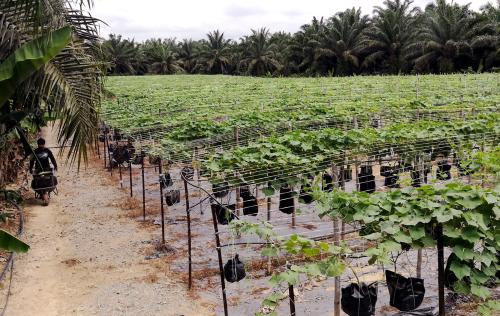 PH31_15042018_AGROPRENEUR