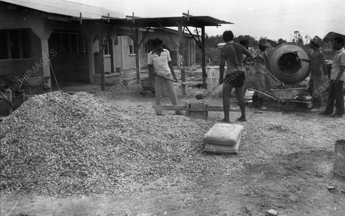 PH31_24062019_PENJARA_PENOR