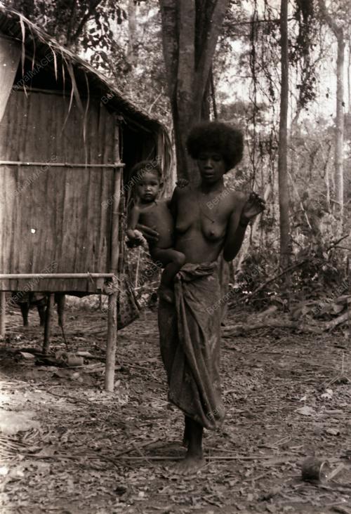 SUKU KAUM ASLI BATEK KUALA TAHAN