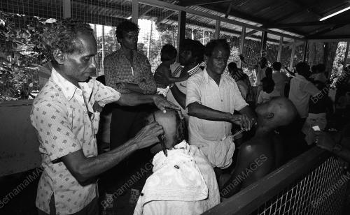 PERAYAAN PANGUNI UTHIRAM