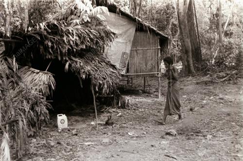 SUKU KAUM ASLI BATEK KUALA TAHAN