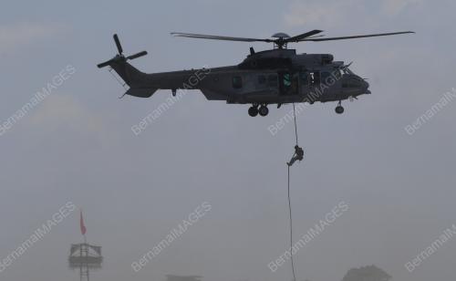 PH36_28082021_TENTERA_PARA_PREDATOR