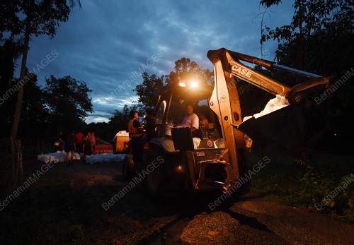 MANGSA BANJIR
