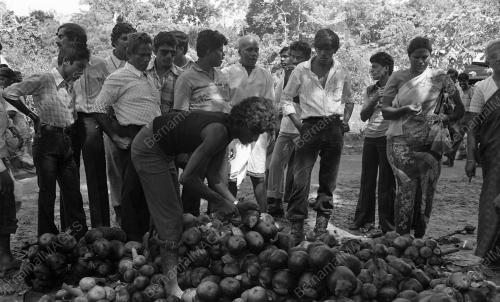 PERAYAAN PANGUNI UTHIRAM