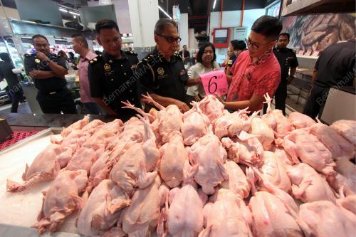 PH46_31012019_HARGA2