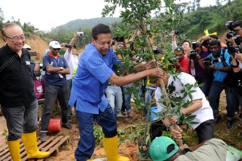 PHG05_30052015_POKOK