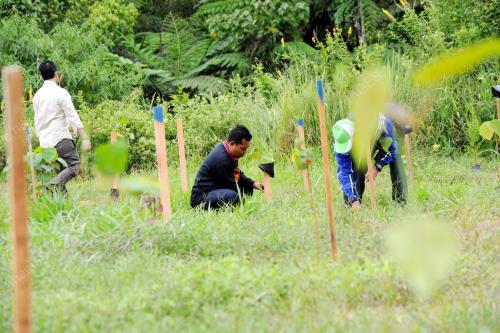 PHG09_20092016_POKOK