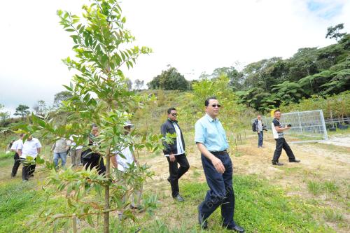 PHG13_20092016_POKOK