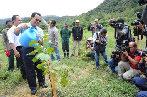PHG14_20092016_POKOK