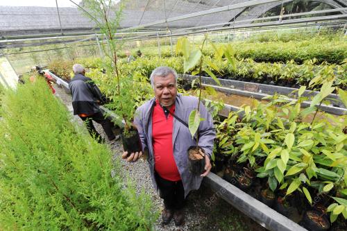 PHG15_20092016_POKOK