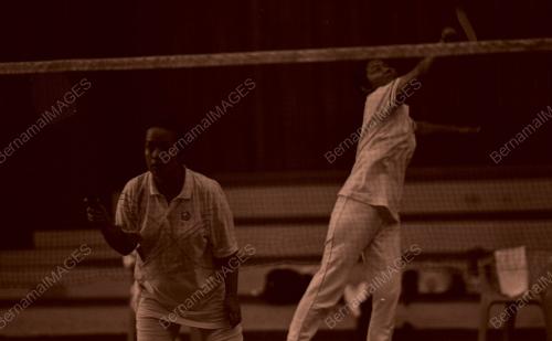 PJ13_150390_BADMINTON