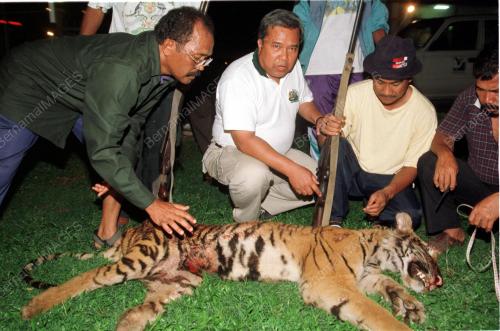 PK01-04_10_2000_HARIMAU_14012016