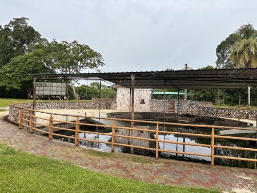 TUNTUNG SUNGAI