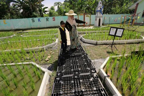 SEKOLAH_SAWAH