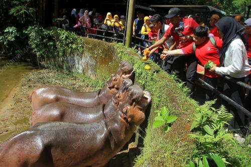 PROGRAM LET'S NURTURE THE NATURE