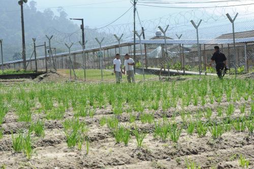 PK01_06012014_PENJARA