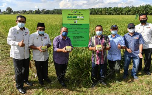 DATUK SHAM MAT SAHAT