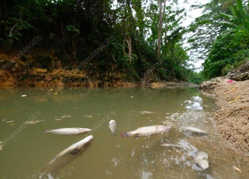 SUNGAI TERCEMAR DI MERU