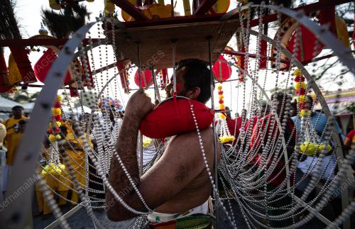 SAMBUTAN THAIPUSAM