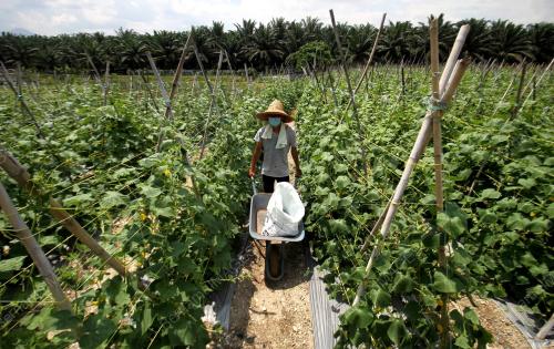 PETANI MENGURUSKAN LADANG