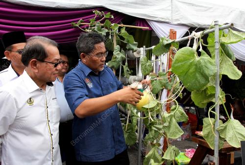 PK01_12112019_KARNIVAL