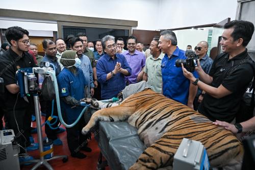 DATUK SERI JOHARI ABDUL GHANI