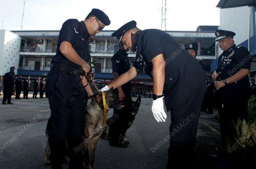 DATUK MIOR FARIDALATHRASH WAHID