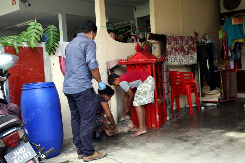 PK01_15012019_ANJING