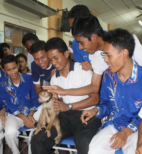 PROGRAM PROMOSI PETTING ZOO