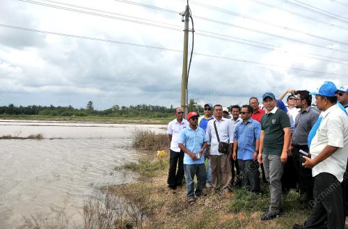 PK01_15102018_SAWAH