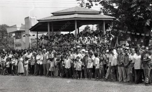 MUSA HITAM