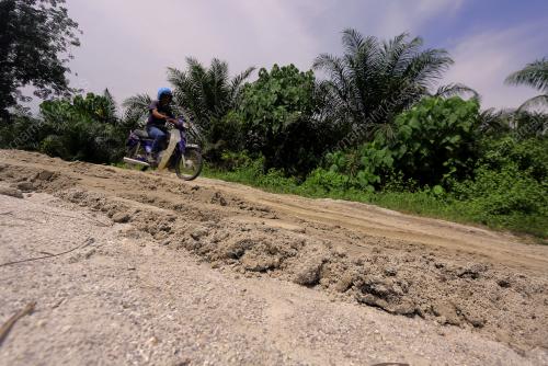 LALUAN TIKUS KAMPUNG PALAWAN TULAR