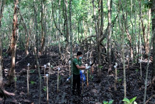 TAMAN PAYA BAKAU BANDAR