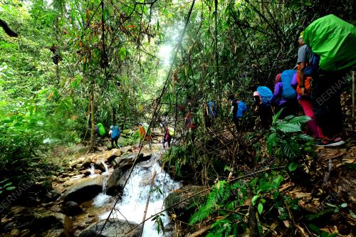 KONSERVASI GUNUNG KORGA 2022