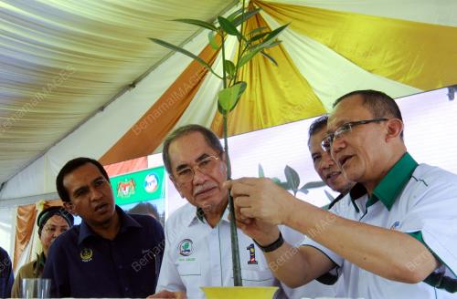 PK01_18082016_WAN_JUNAIDI