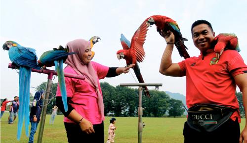 SILATURAHIM SANTAI FREE FLY