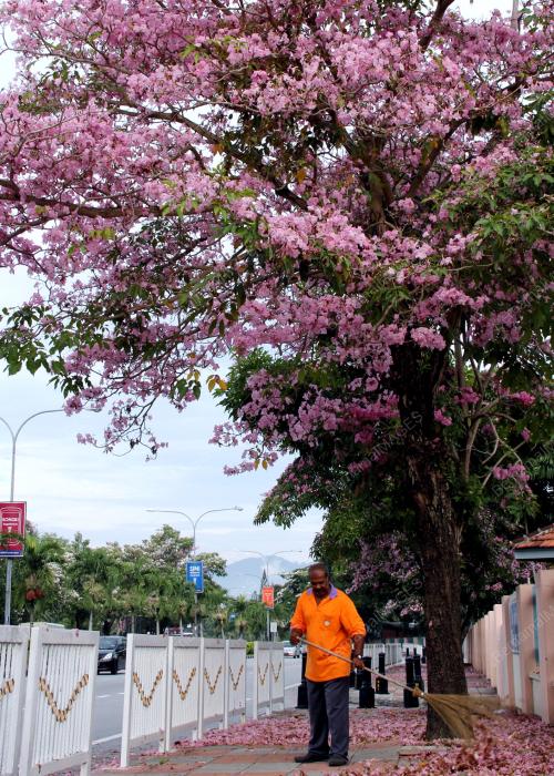 PK01_19072012_PEKERJA_MBI