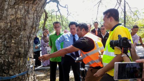 PK01_19072017_POKOK_HUJAN
