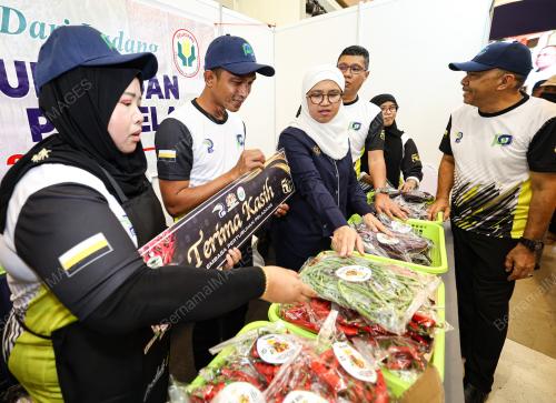 DATUK AZULITA SALIM