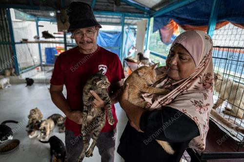 AKTIVIS_KUCING