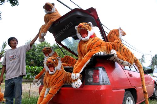 PK01_21062018_HARIMAU