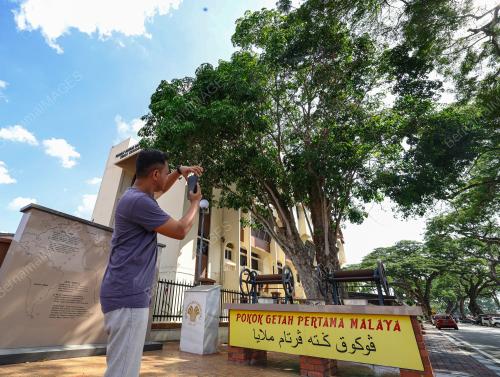 POKOK GETAH PERTAMA MALAYSIA