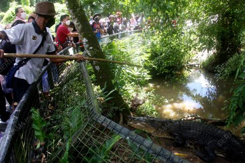 PENGUNJUNG ZOO TAIPING