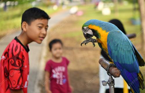 TINJAUAN CUTI SEKOLAH PENGGAL SATU