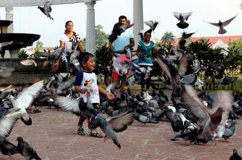 PK01_26032014_MERPATI