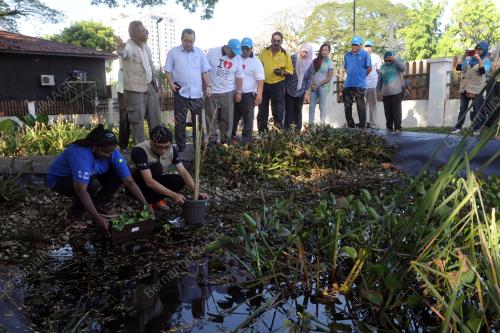 PK01_29012016_SUNGAI