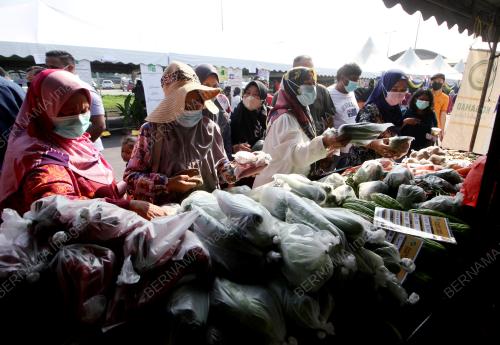 PROGRAM JUALAN TERUS DARI LADANGt
