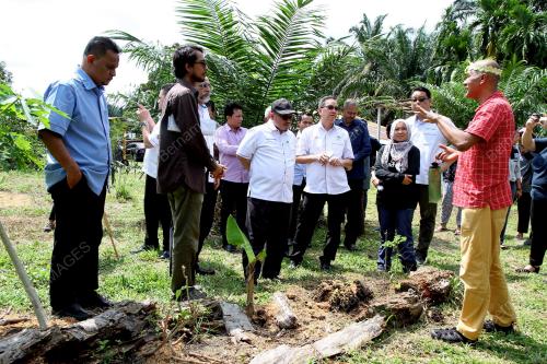 PK02_02112019_SHAMSUL_BN201911016184