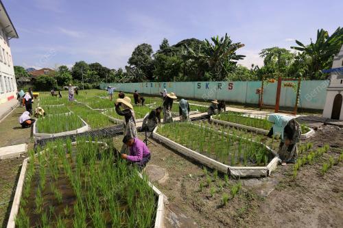 SEKOLAH_SAWAH
