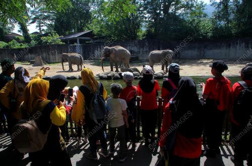 PROGRAM LET'S NURTURE THE NATURE